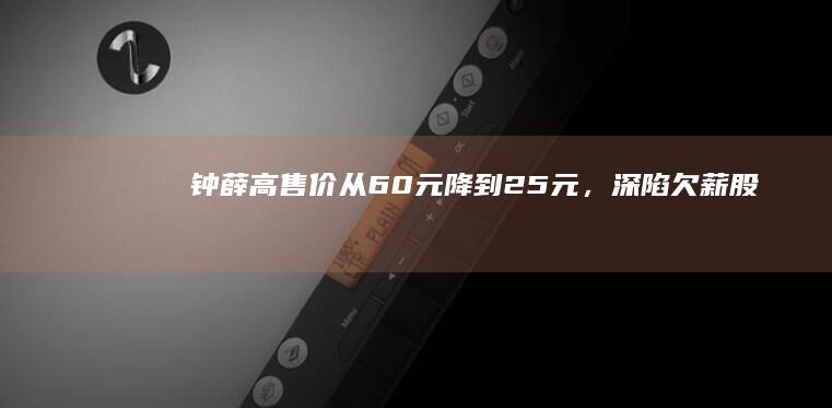 钟薛高售价从 60 元降到 2.5 元，深陷欠薪、股份冻结、被列为「被执行人」旋涡，如何看待此事？